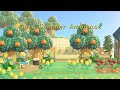 Cozy Summer Ambience 🌞 | Animal Crossing Lofi BGM