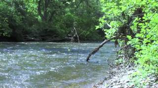 preview picture of video 'Scenic Snapshots: Oxbow Trail, Cascade Valley MetroPark'