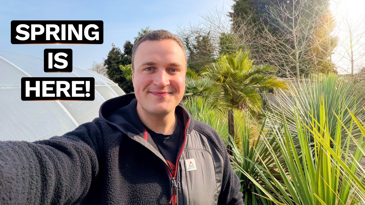 Spring Garden Plans, Projects & Progress