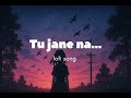 Tu Jaane Na Lofi Song