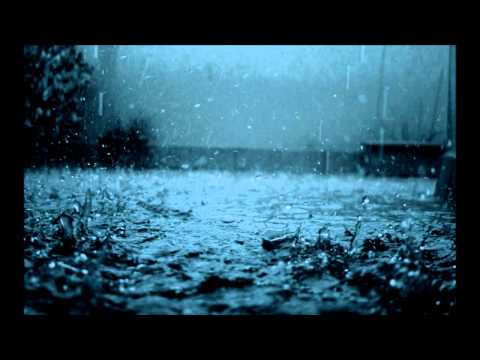 Chillwalker - The Simple Things