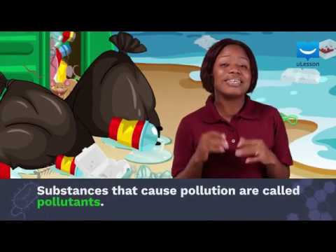 Types of Pollution | Biology