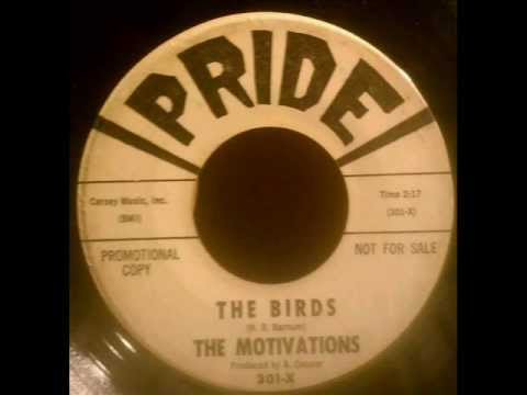 The Motivations - The Birds