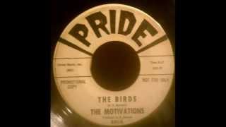 The Motivations - The Birds