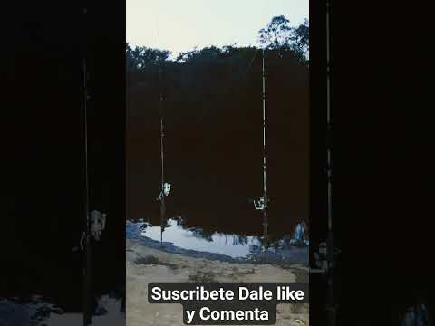 lindo día de verano pescando🐟#misiones#itacaruare#nature#pesca