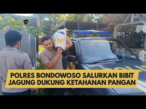 POLRES BONDOWOSO SALURKAN BIBIT JAGUNG DUKUNG KETAHANAN PANGAN