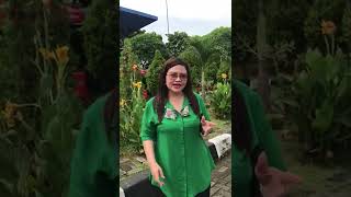 Download lagu Family Time mp3 Download lagu Family Time mp3