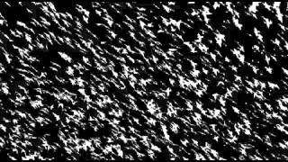 The chemical brothers  K+D+B.avi