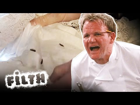 Gordon SCREAMS At Disgusting Hotel Owner | Hotel Hell Full Episode | Filth
