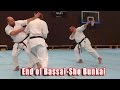 Practical Kata Bunkai End Of Bassai Sho