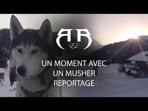 UN MOMENT AVEC : Un Musher — Reportage au Cœur du Métier des Chiens de Traîneau