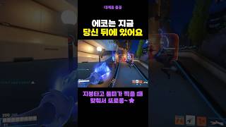 에코로 암살하는 영상