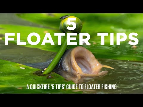 5 Top Tips When Floater Fishing For Carp