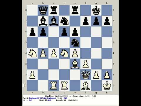 Malakhov, Vladimir vs Csom, Istvan | Budapest FS07 GM Chess 1995, Hungary