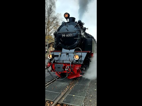 Harzer Schmalspurbahn 2020 / Letzter Plandampftag auf der Brockenbahn, Harzquer - und Selketalbahn