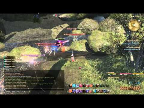 Final Fantasy XIV archer Class Quest Fight level 30