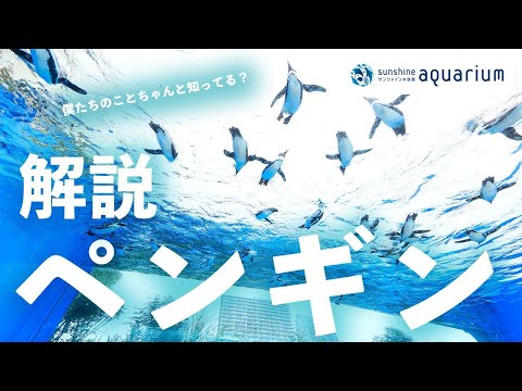 IUCN分類における絶滅の危険性を示す図。