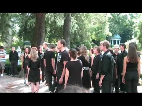 Dekoor Close Harmony - And so it goes