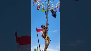 Download lagu Children's climbing areca nut mp3 Download lagu Children's climbing areca nut mp3