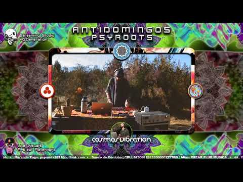 Anti-Domingos de Psyroots | Cosmos Vibration