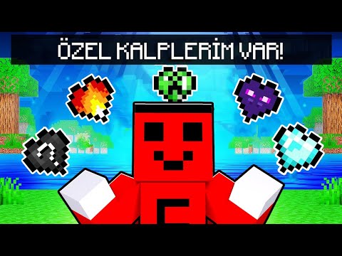 RENGARENK ÖZEL KALPLERİM VAR !! - Minecraft