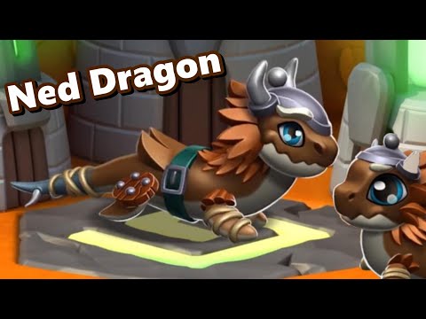 *NEW* NED DRAGON REVEALED! How to Breed + Dragon's Delight Event Changes... - DML #1667