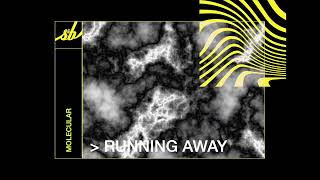 Molecular - Running Away