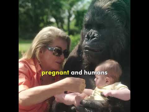 Everything is upside down in this city. 😱