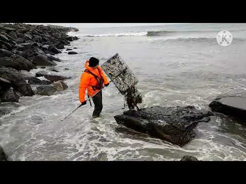 Ravjagt Amber Bernstein search in Vorupor Denmark