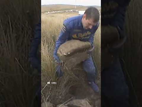 ICONIC Colin McRae 💫