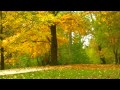Tinavie - Autumn Song(S.V 2010) 