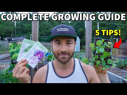 5 Tips For Growing BRASSICAS: Grow BETTER Broccoli, Kale, Cabbage & More!