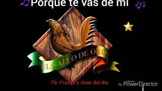 Valentín elizalde porque te vas de mi