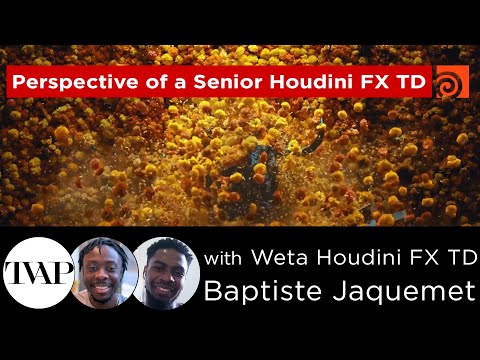 Perspective of a Senior Houdini FX TD, with Baptiste Jaquemet