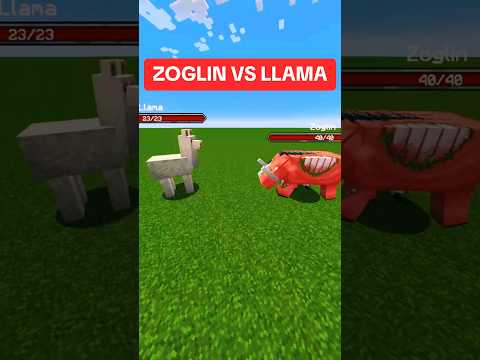 OGC - ZOGLIN VS LLAMA