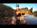 Spook Smallies On A Fall Morning