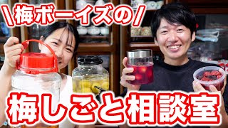 【初心者必見】梅干し屋が梅仕事に関する質問に答えます