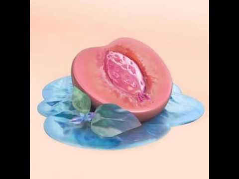 Ramriddlz - Venis (Official Audio)