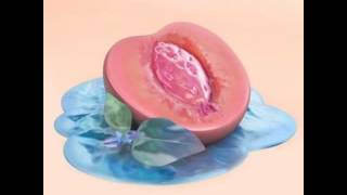 Ramriddlz - Venis (Official Audio)