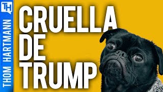 Will Trump Rob Dog?