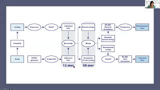 Introduction to the Metagenomic Binning service