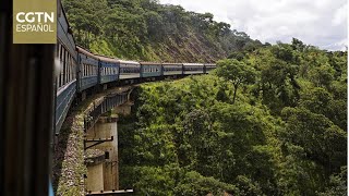 Una empresa china se adjudica un contrato para rehabilitar la emblemática línea ferroviaria Tazara