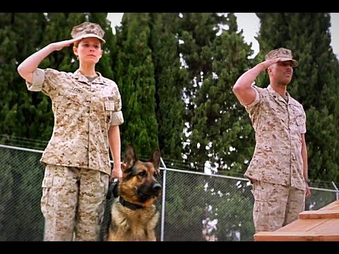 Трейлеры Меган Ливи