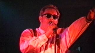 Fast Freddie&#39;s Fingertips &quot;Do It Yourself&quot; (Ravenswood)