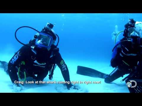 Magnetic Stingray Repels Hammerhead Sharks
