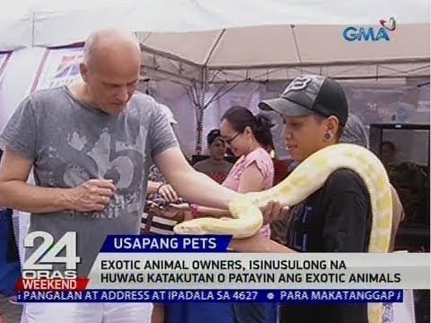 Kapag kinakabahan bakit hindi nawawala ang timbang Kalkulahin ang calories sa mawala timbang 10 kg