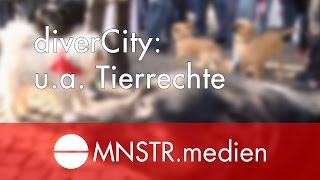 diverCity #41 (u. a. Tierrechtaktivisten, Europawahl)