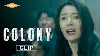 Clip