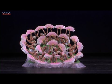 YAGP 2014 Ensembles"Jasmine"1st place in Regional, Top12 in NY final Video