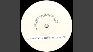 Moon Revolution (Steve Spaceman Vs Regi's Global Killer Version)
